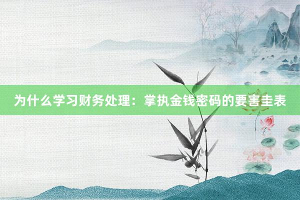 为什么学习财务处理：掌执金钱密码的要害圭表